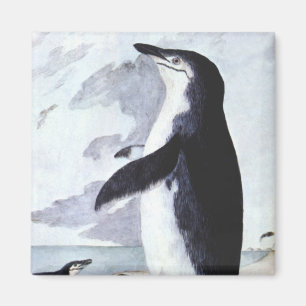 Chinstrap Penguin, Vintage Birds from Antarctica Magnet