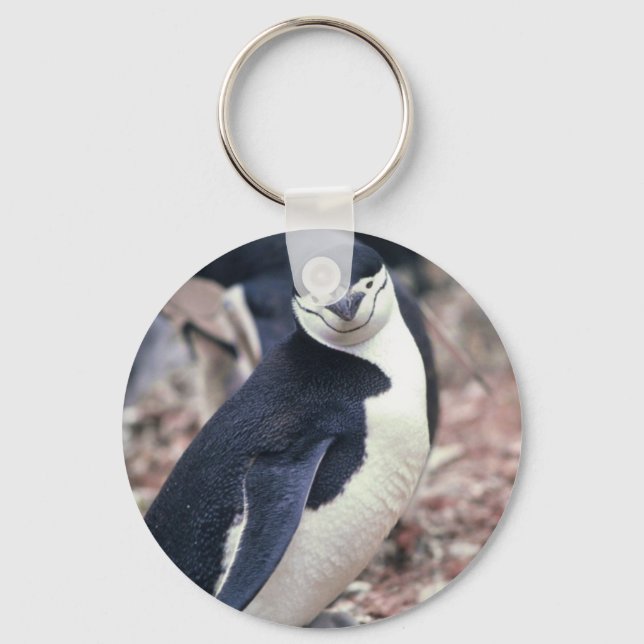 Chinstrap Penguin with Baby Keychain (Front)