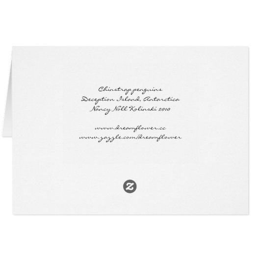 Chinstrap penguins (Deception) card (Back Horizontal)