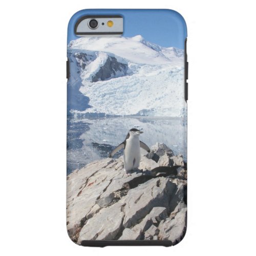 Chinstrap Penguins in Antarctica Tough iPhone 6 Case
