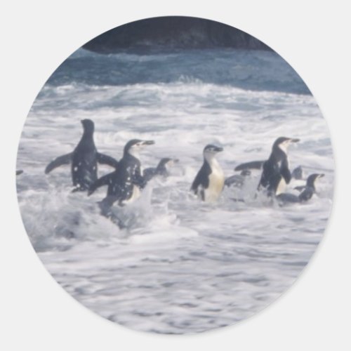Chinstrap Penguins in the beach surf Classic Round Sticker