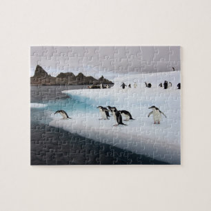 Chinstrap Penguins Jigsaw Puzzle