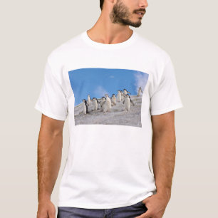Chinstrap Penguins   Pygoscelis Antarctica T-Shirt