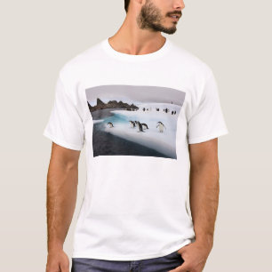 Chinstrap Penguins T-Shirt