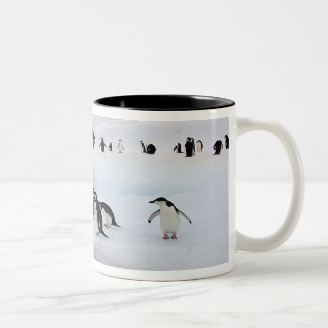 Chinstrap Penguins Two-Tone Coffee Mug (Right)