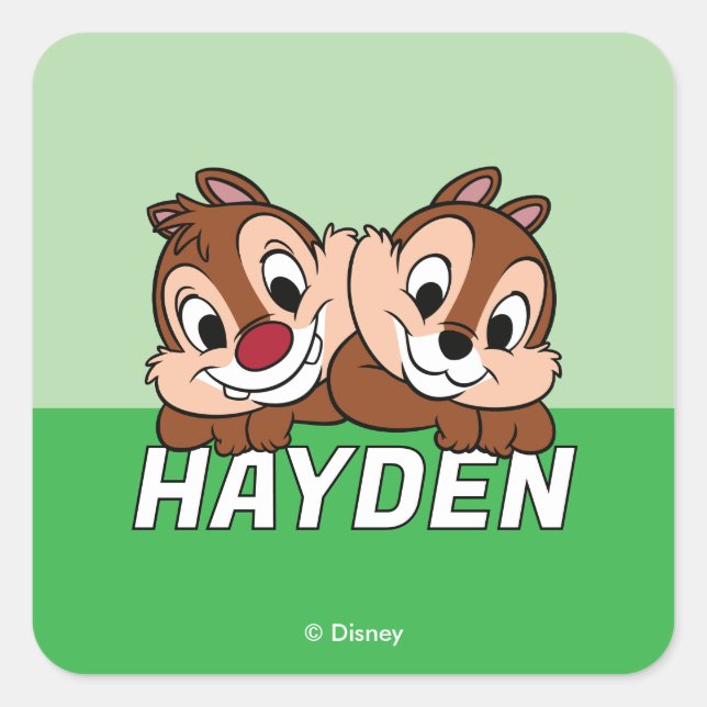Chip & Dale Smile Square Sticker (Front)
