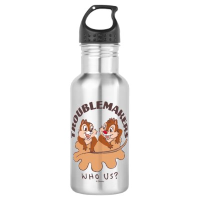 Chip &amp; Dale Troublemakers Stainless Steel Water Bottle