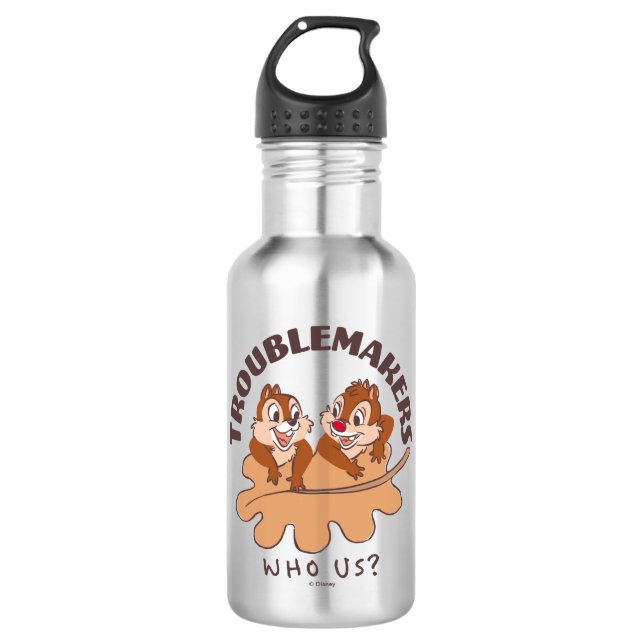 Chip & Dale Troublemakers Stainless Steel Water Bottle (Front)