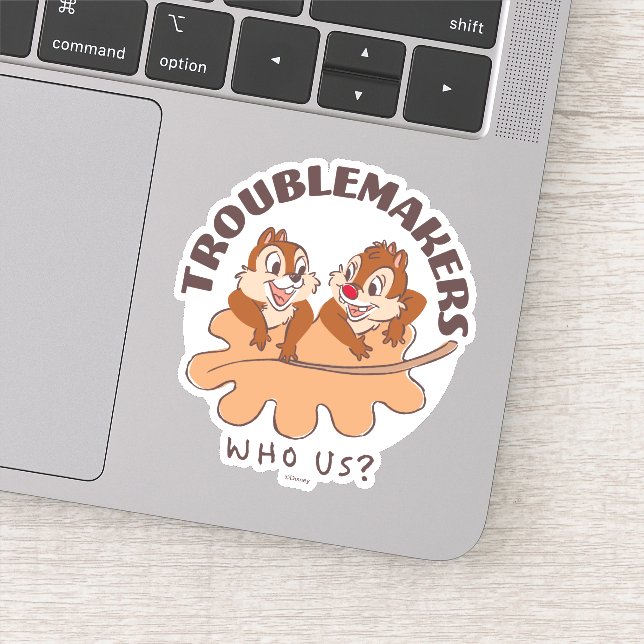 Chip & Dale Troublemakers Sticker (Detail)