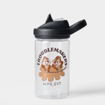 Chip &amp; Dale Troublemakers Water Bottle