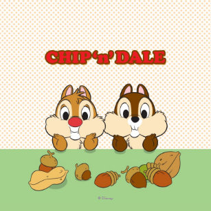 chip and dale t shirts chip and dale gifts art posters more