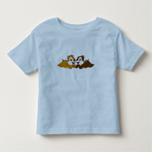 Chip n Dale Rescue Rangers Disney Toddler T_shirt