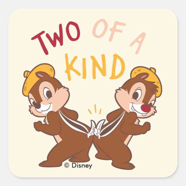 Chip 'n Dale Two of a Kind Square Sticker (Front)