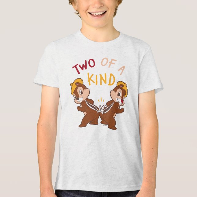 Chip 'n Dale Two of a Kind Tri-Blend Shirt (Front)