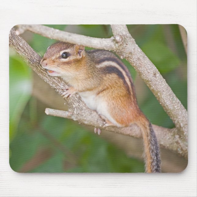 Chipmonk Mouse Pad (Front)