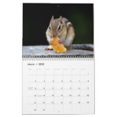 Chipmunk 2024 calendar (Mar 2025)