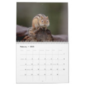 Chipmunk 2024 calendar (Feb 2025)