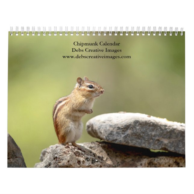 Chipmunk 2024 calendar (Cover)