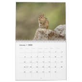 Chipmunk 2024 calendar (Jan 2025)