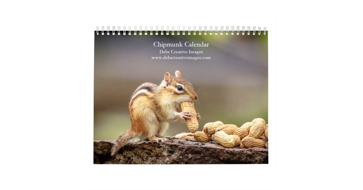 Chipmunk 2024 calendar Zazzle