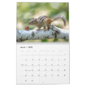 Chipmunk 2024 calendar (Mar 2025)