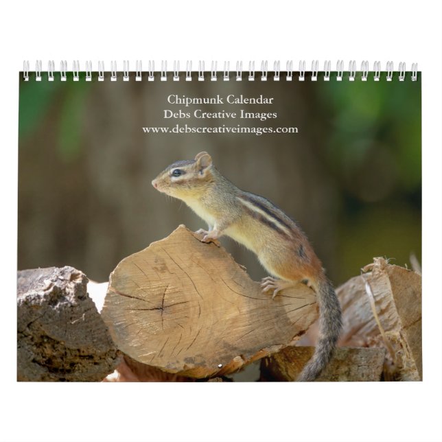Chipmunk 2026 calendar (Cover)