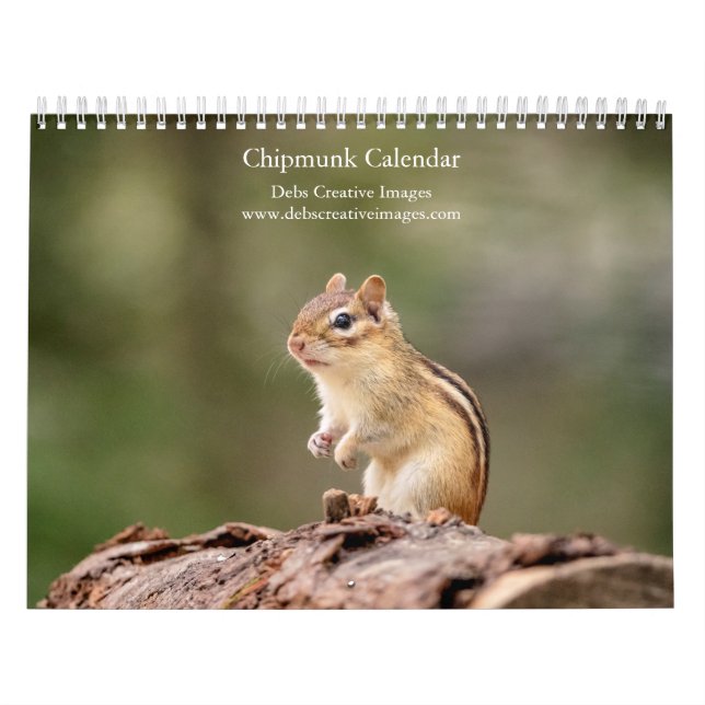Chipmunk 2026 Calendar – Adirondack Wildlife (Cover)