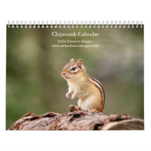 Chipmunk 2026 Calendar – Adirondack Wildlife