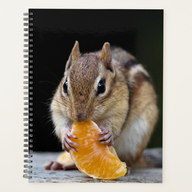 Chipmunk 2026 Planner | Adirondack Mountains (Front)