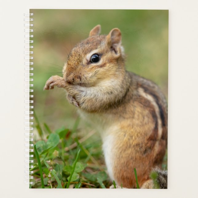 Chipmunk 2026 Planner | Adirondack Mountains (Front)