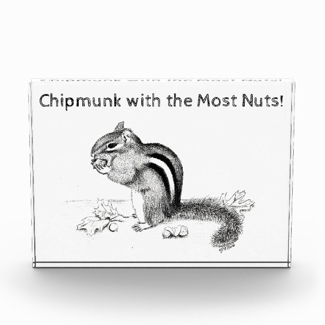 Chipmunk Acrylic Award (Front)