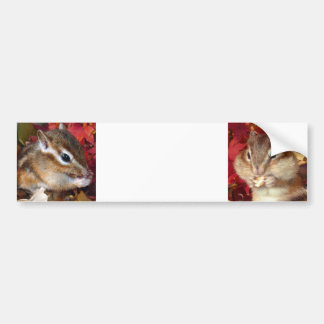 Chipmunk and Autumn (9) photo Bumper Sticker