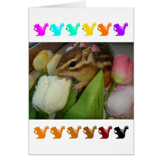 Chipmunk and flower (pohto) type-5 cards