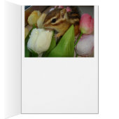 Chipmunk and flower (pohto) type-5 cards (Inside (Right))