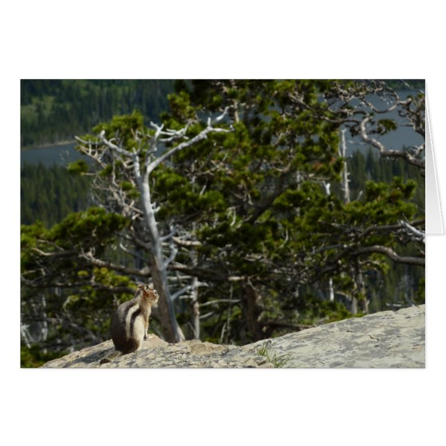 Chipmunk at Two Medicine Lake Overlook Cards (Front Horizontal)