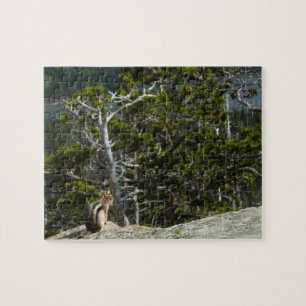 Chipmunk at Two Medicine Lake Overlook Jigsaw Puzzle