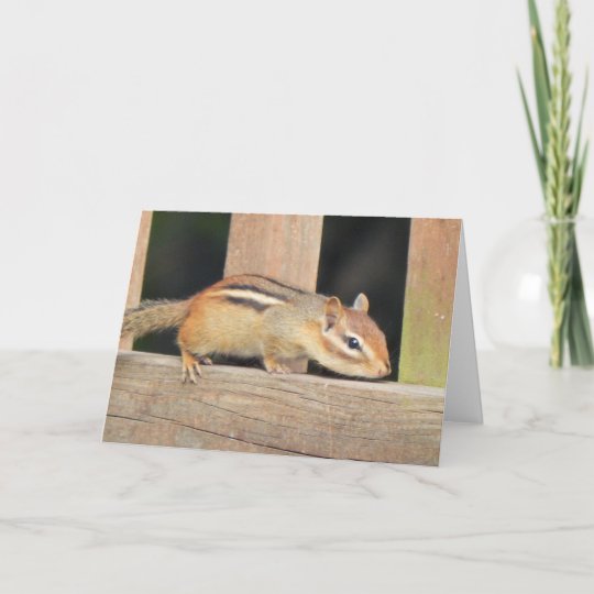 Chipmunk Birthday Card