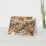 Chipmunk Birthday Card<br><div class="desc">This Birthday card features a chipmunk eating a peanut,  with a cute say on the inside "Its your day you can have all the peanuts you want".</div>