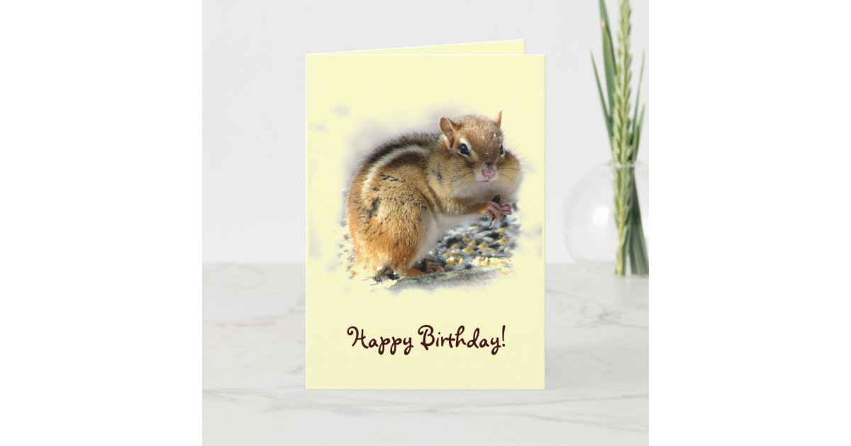 Chipmunk Birthday Card | Zazzle