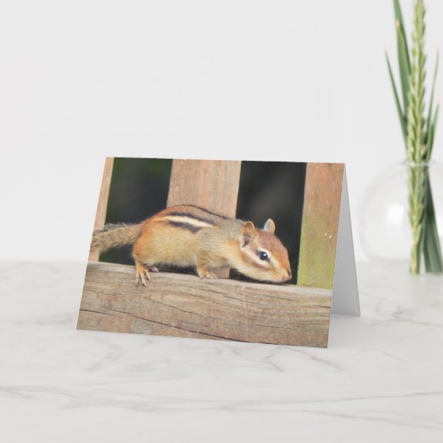 Chipmunk Birthday Card (Front)