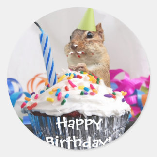 chipmunk birthday celebration classic round sticker