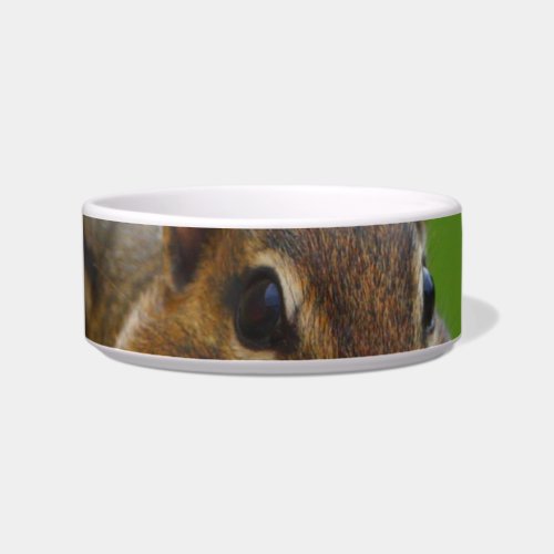 chipmunk bowl