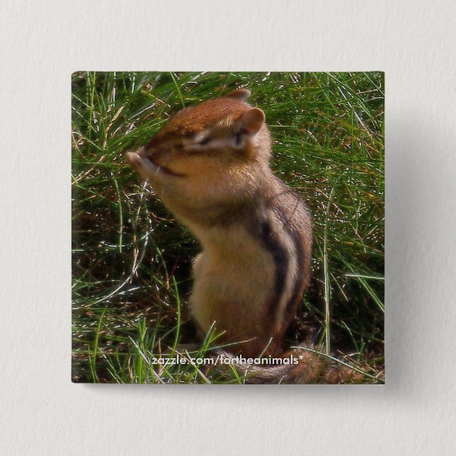 Chipmunk -Button Pinback Button (Front)
