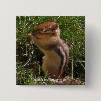 Chipmunk -Button Pinback Button