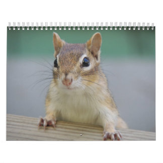 Chipmunk Calendar