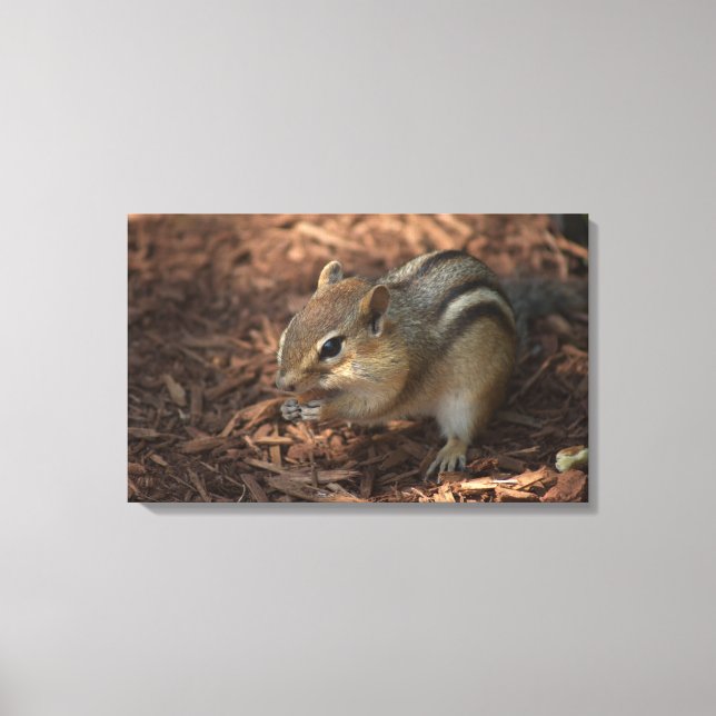 Chipmunk Canvas Print (Front)