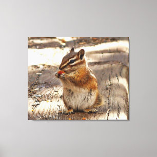 Chipmunk Canvas Print