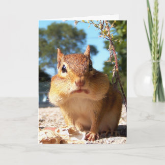 Chipmunk Card
