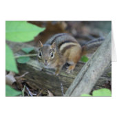 Chipmunk card (Front Horizontal)