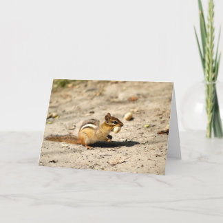 Chipmunk  card